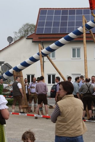 Maibaum 2013